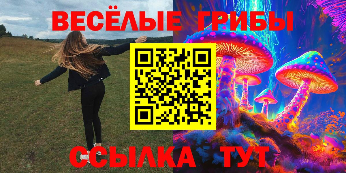 Псилоцибиновые грибы мицелий  Галлюциногенные грибы Cubensis  где купить наркоту  Богданович  Вход с VPN 